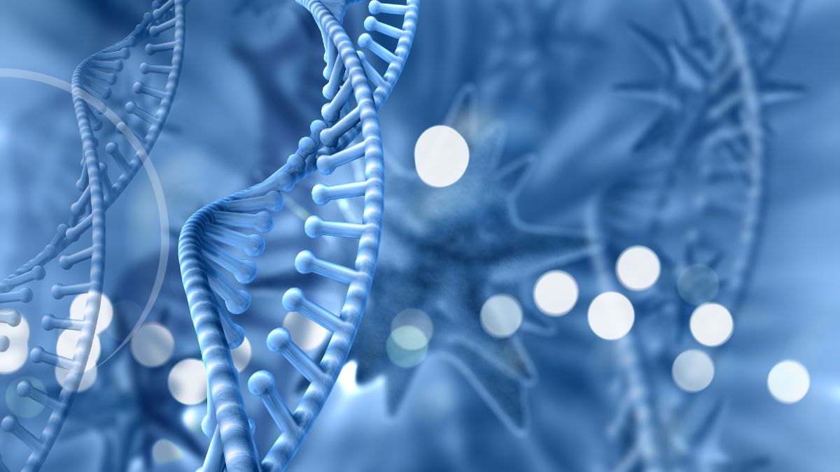 medicina regenerativa, plasma rico en plaquetas